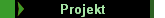 Projekt