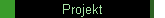 Projekt